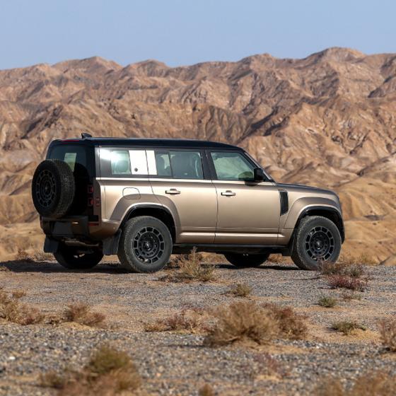 Traveler Mammoth Defender Tail Gate Ladder